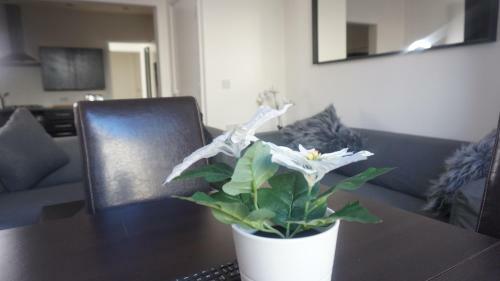 Sienna Family Holiday Apartments