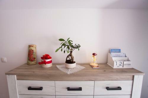 Red Rose Apartment