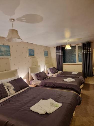 The Glen Stuart Hotel