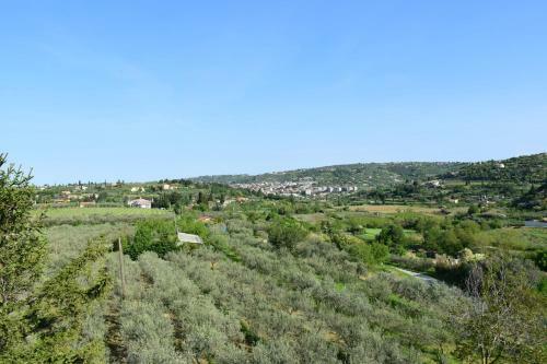 Apartma Burja