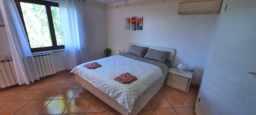 Apartma Burja