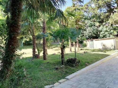 Apartamento Katabuki