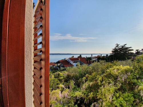 Apartamento Vila Rosa