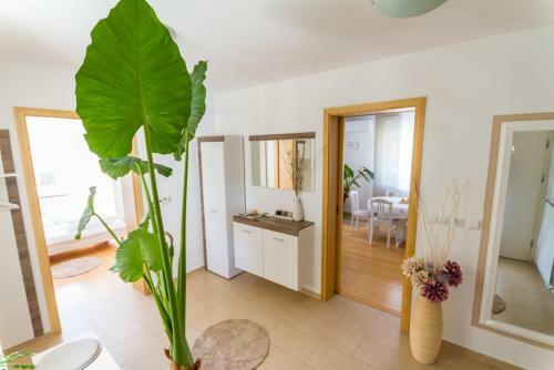Apartma