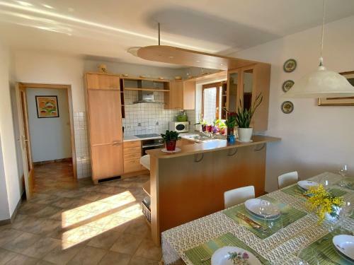Sea View Istrian Countryside Apartment - Rota