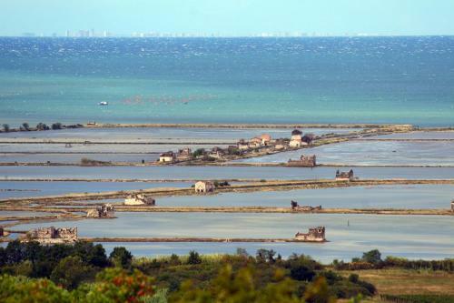 Sea View Istrian Countryside Apartment - Rota