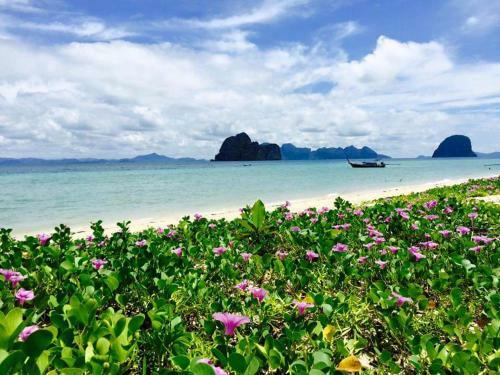 Hotel Thanya Beach Resort