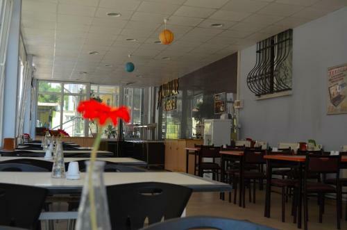 Hotel Altin Lale
