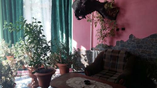 Posada ????????? ????