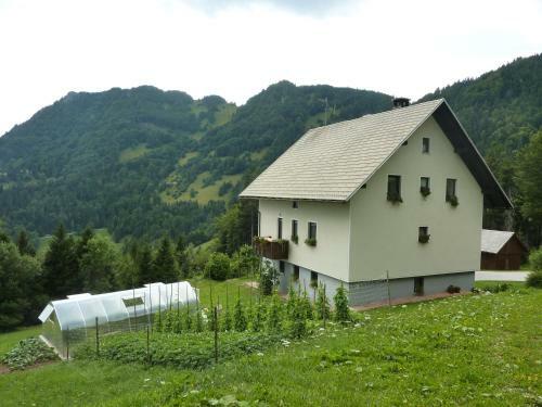 Apartments Pri Marjetki