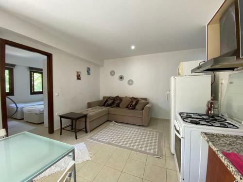 Lovely House With Shared Pool Surrounded By Nature In Fethiye