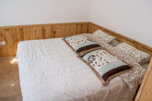Albergue Baron Munchausen Guest House