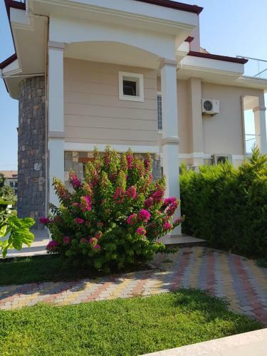 Villa Cal?s 2