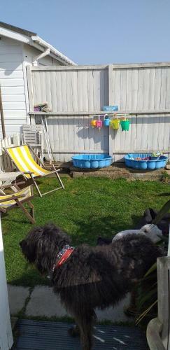 The Sun Trap @ Bridlington's Bed & Bowl Beach Breaks