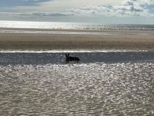 The Sun Trap @ Bridlington's Bed & Bowl Beach Breaks