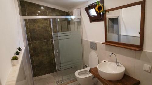 Kakt�s Tatil Evleri