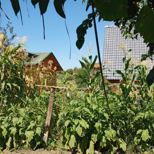 Bed & Breakfast Makri