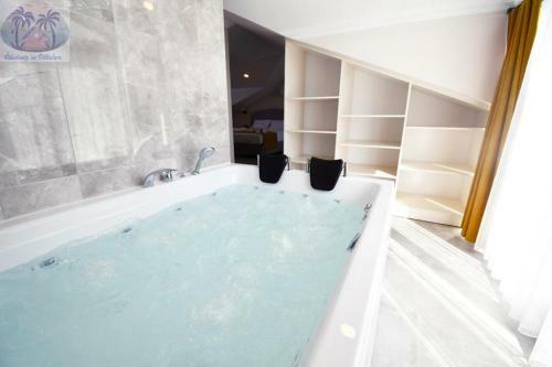 Desen Villa 1
