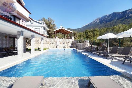 Desen Villa 1