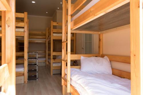 Albergue ?????? ?? ???????