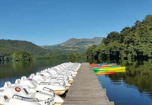 Hotel H�tel Domaine Du Lac Chambon