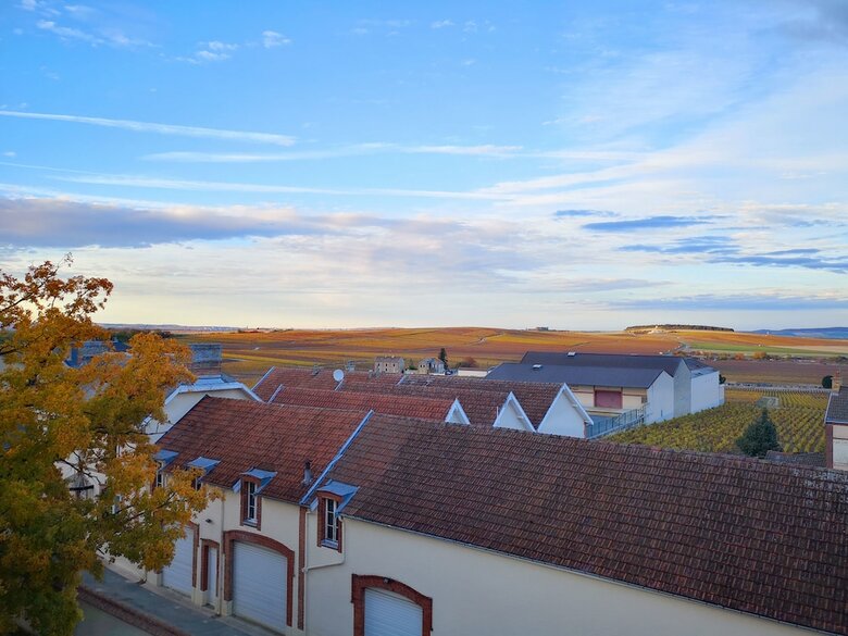 Hotel Chateau De Rilly
