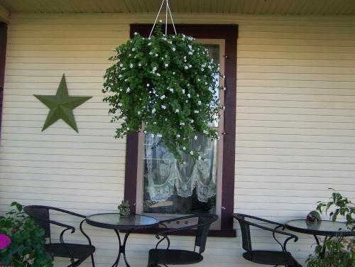Bed & Breakfast O'berge Du Pignon