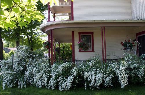 Bed & Breakfast O'berge Du Pignon