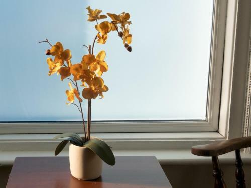 Apartamento Pass The Keys Beautiful Spacious Seaside Flat With Large Garden