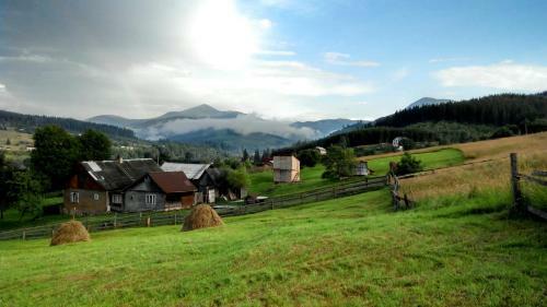 Lodge Cottage Ozerniy