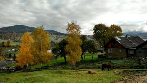 Lodge Cottage Ozerniy