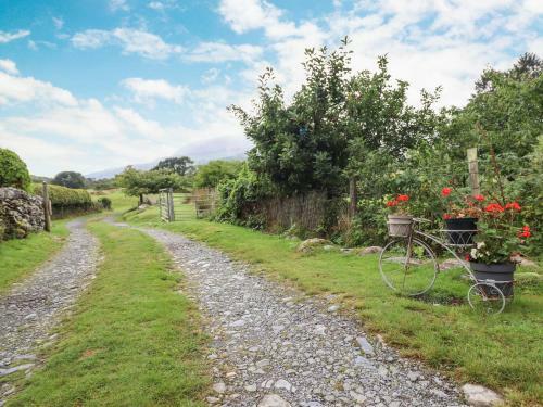 Cwm Caeth Cottage
