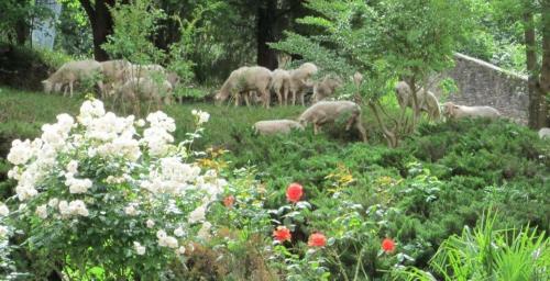 Bed & Breakfast Chambres D'h�tes Maison E.bernat