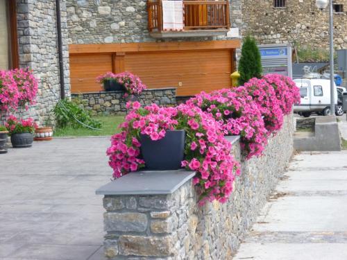 Apartaments La Bonaigua