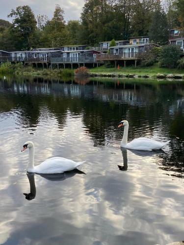 92 Lake View
