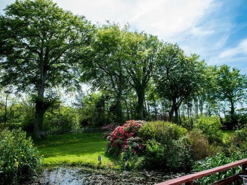 Pass The Keys Spacious Cottage In Ceredigion - Sleeps 6