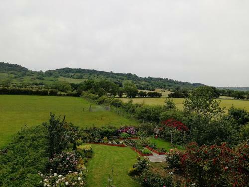 Fox Heaven B&B