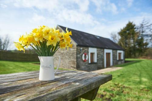Penuwch Boathouse