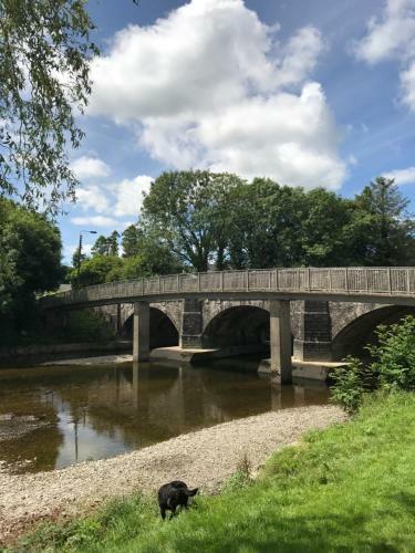 The Cothi Bridge Apartments