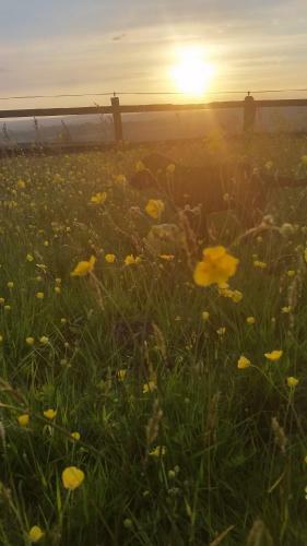 Bunny Meadows Farmhouse