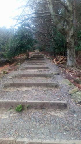 Rooneys @ Ballymagreehan Explore And Unwind