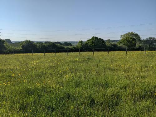 Foxhill Lodges