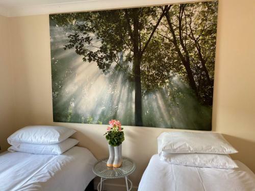 Mango Tree Apartment