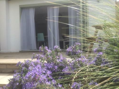 Apartamento Levada House