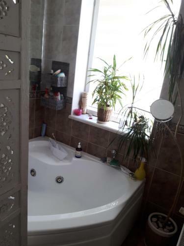 The Room 1,7 ?m (18 Min) From Stadium Olimpiysky