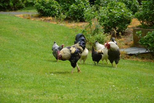 Bed & Breakfast La Grange Des Marettes