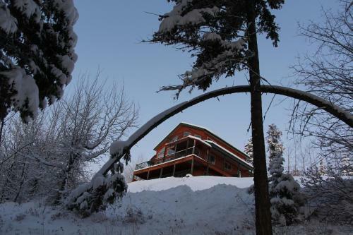 Wild Nature B&B