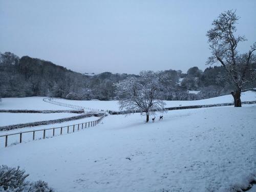 Bed & Breakfast Walnut Tree Farm