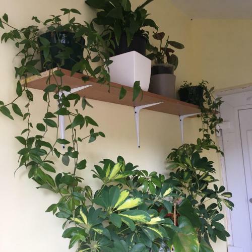 Apartamento Becontreelodge