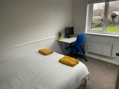 Modern 1 Bed Ground Floor Apartment